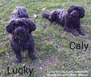 Lucky et Caly, 6 ans