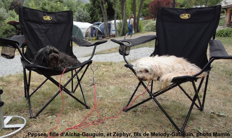Pepsee et Zéphyr en vacances-camping