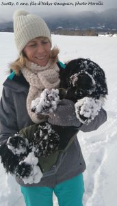 les joies de l'hiver à l'élevage de bichon havanais la vie est belle suisse